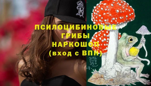 мяу мяу мука Куйбышев