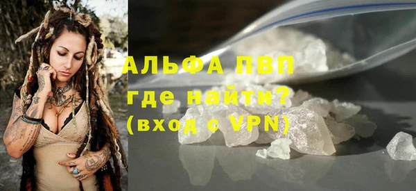 стаф Ладушкин