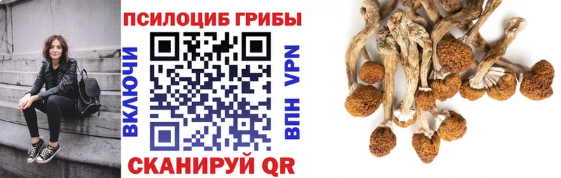 Купить  Окуловка  Псилоцибиновые грибы Magic Shrooms 